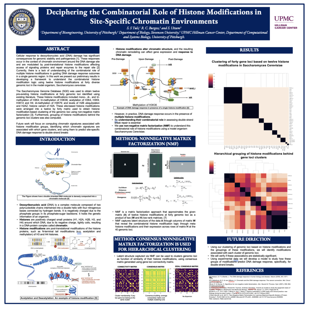 Bioinformatics Analysis
